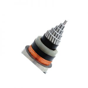MEDIUM VOLTAGE SINGLE CORE XLPE INSULATED POWER CABLE